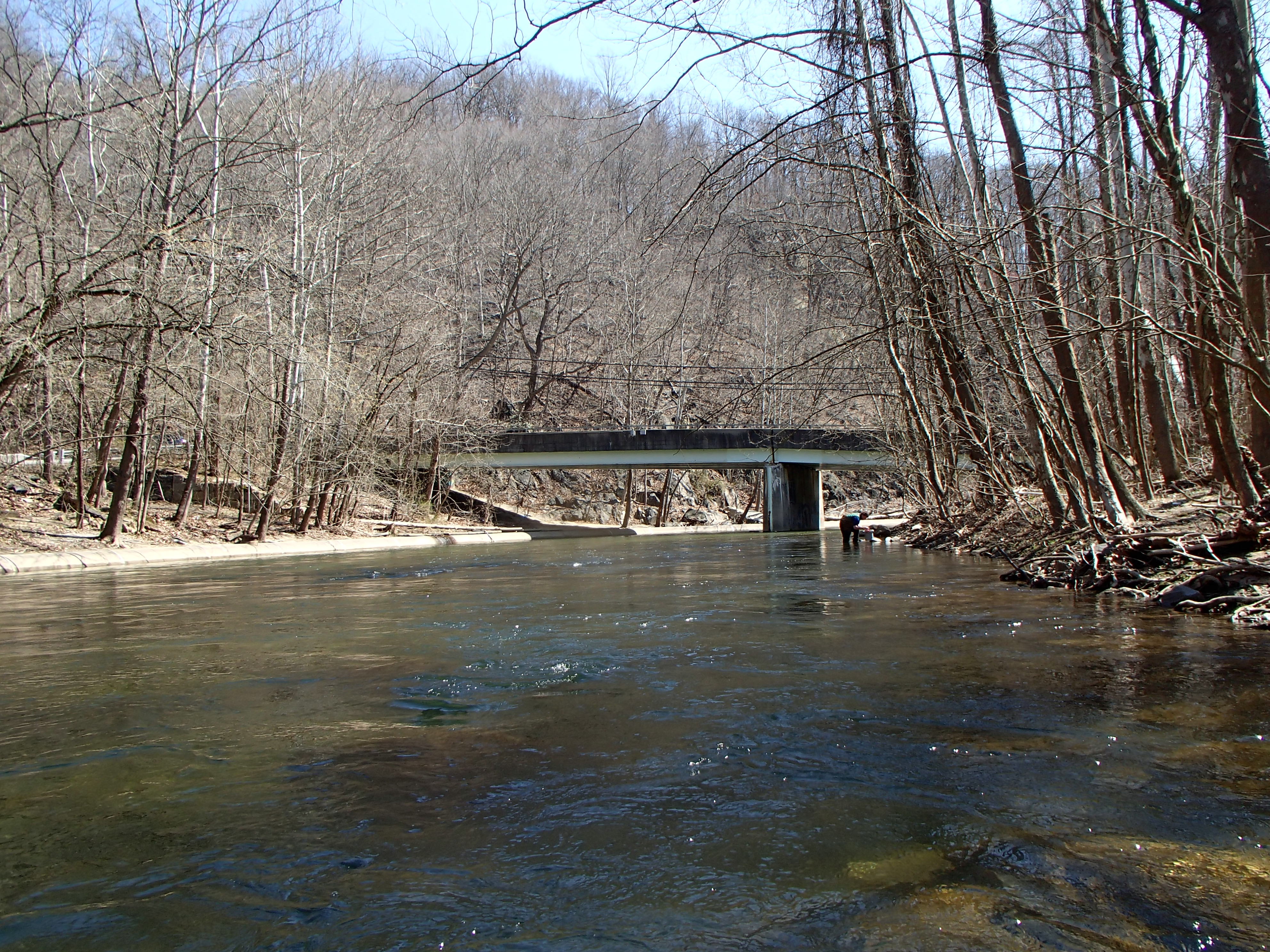 Field photo showing stream conditions at site PATL-B06-X-2016_midpoint looking downstream